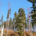 sidzina11 149
